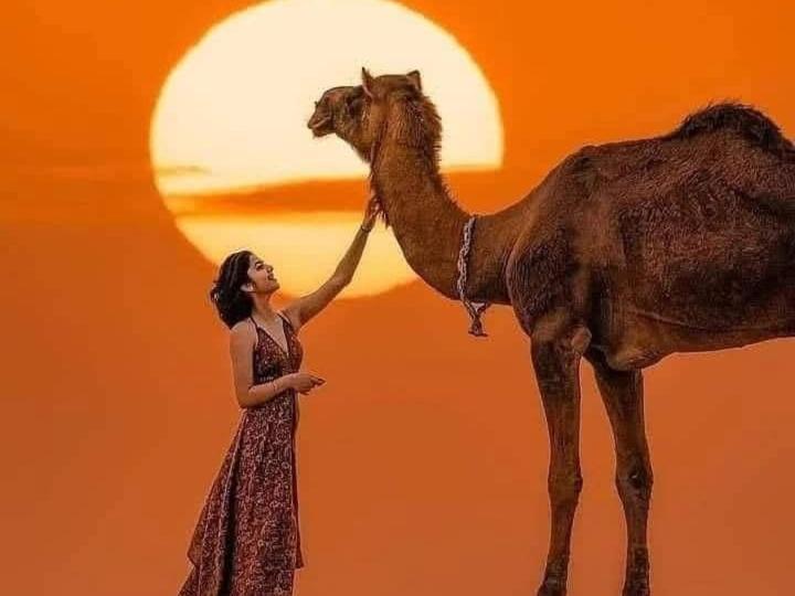 Om Luxury Resort Jaisalmer Bagian luar foto